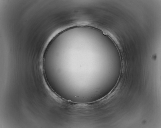 X0000101711342200807101400