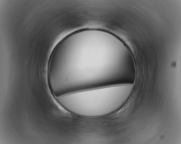 X0000101711343200807101400