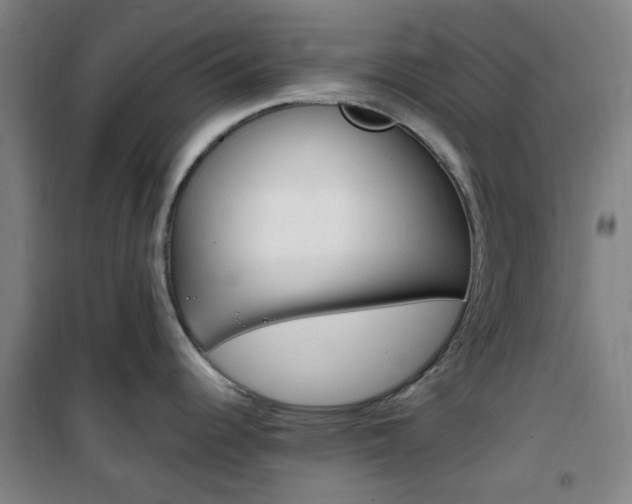 X0000101711344200807101400
