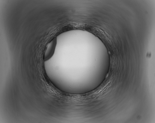 X0000101711345200807101359