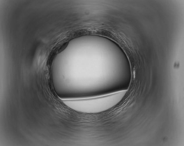 X0000101711347200807101359