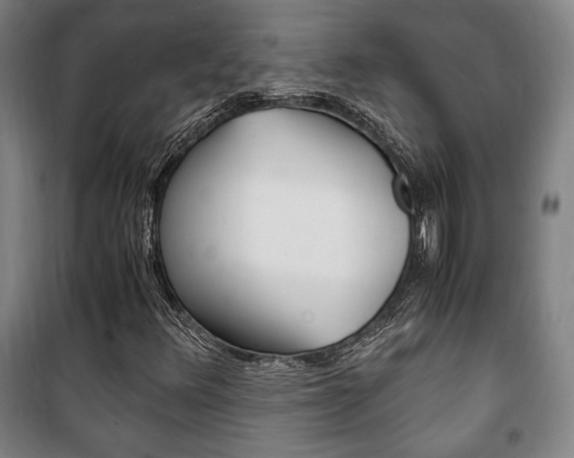 X0000101711348200807101359