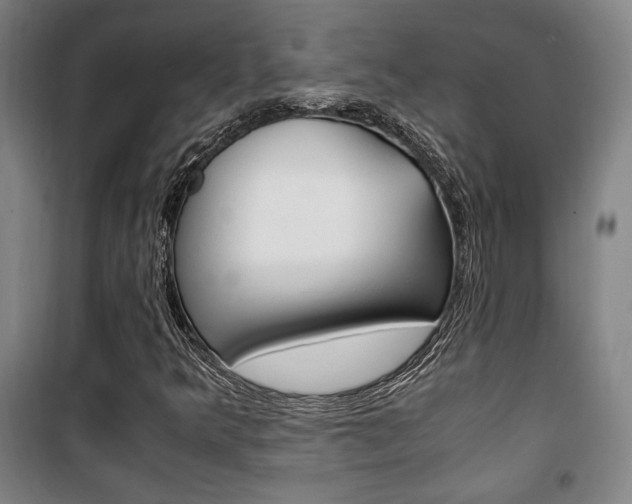 X0000101711349200807101359