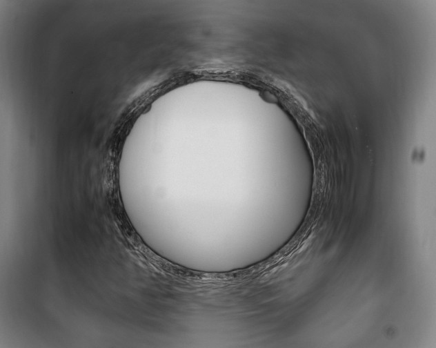 X0000101711350200807101359