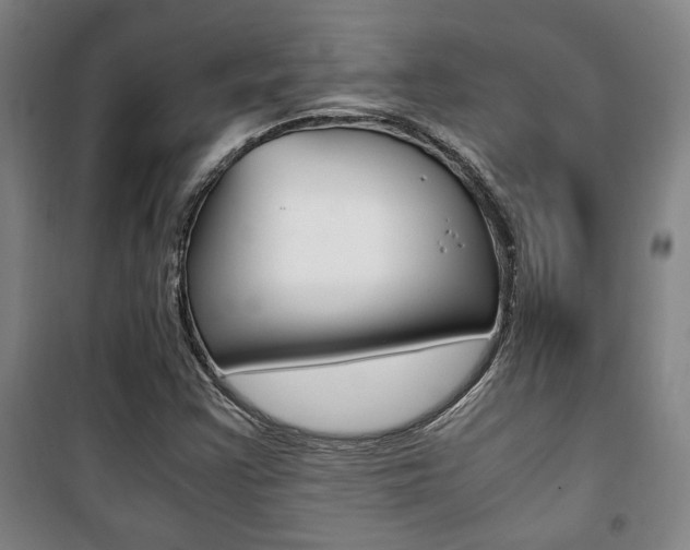 X0000101711355200807101359