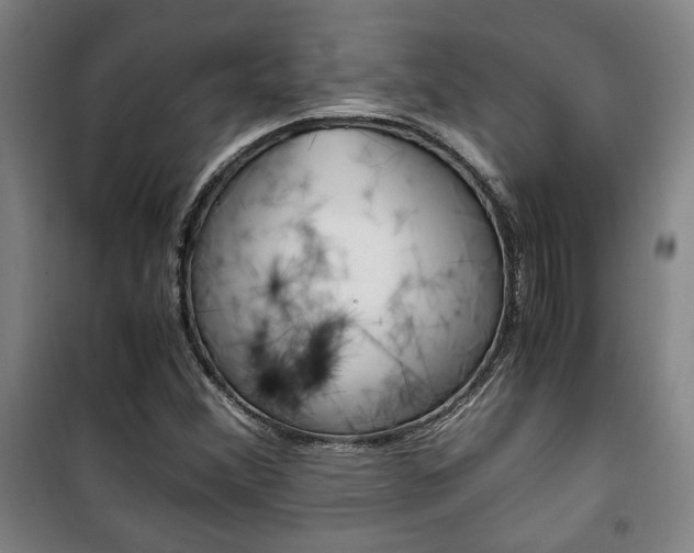X0000101711356200807101359