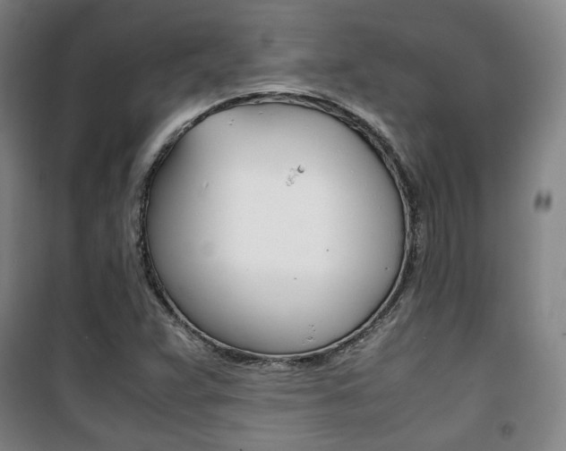X0000101711359200807101359