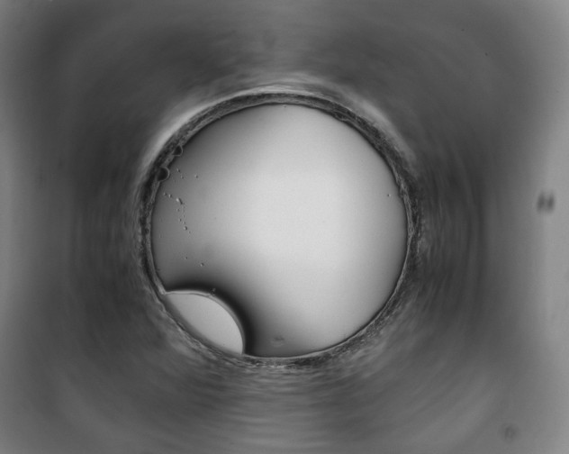 X0000101711360200807101359