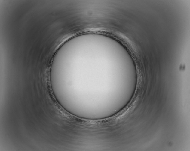 X0000101711361200807101359