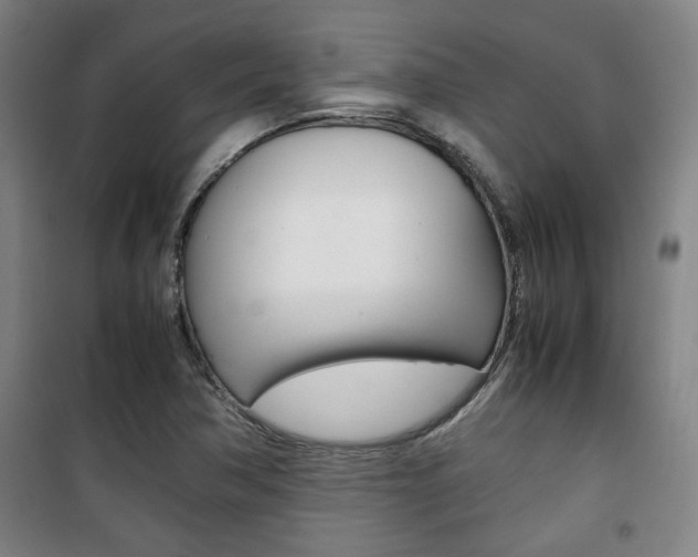 X0000101711362200807101359