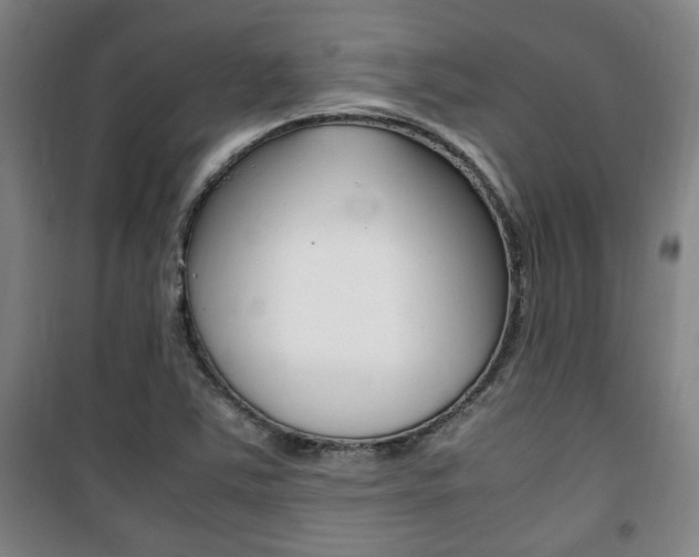 X0000101711363200807101359