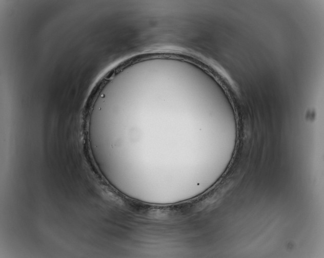 X0000101711364200807101359