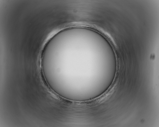 X0000101711365200807101359