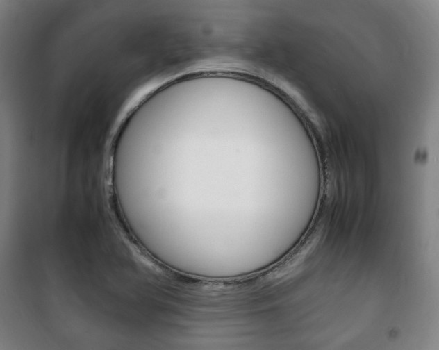 X0000101711366200807101359