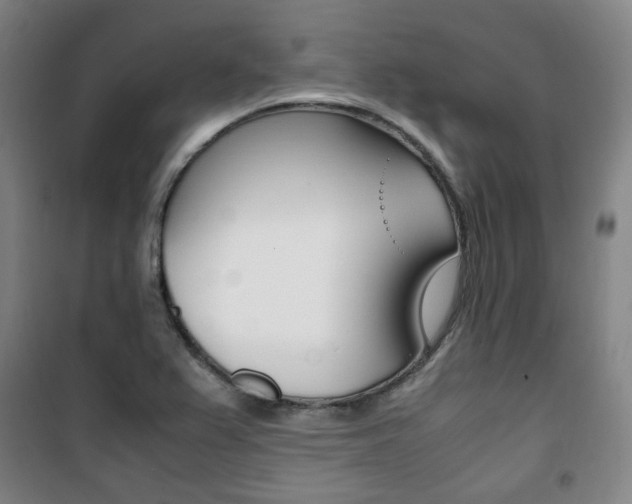 X0000101711367200807101359