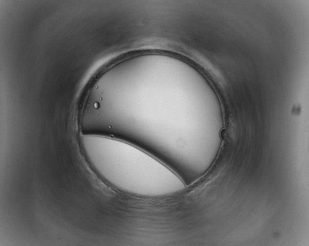 X0000101711368200807101359