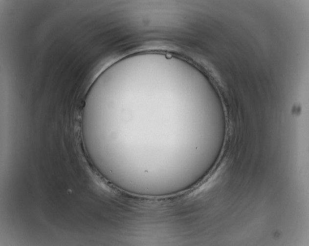 X0000101711369200807101359