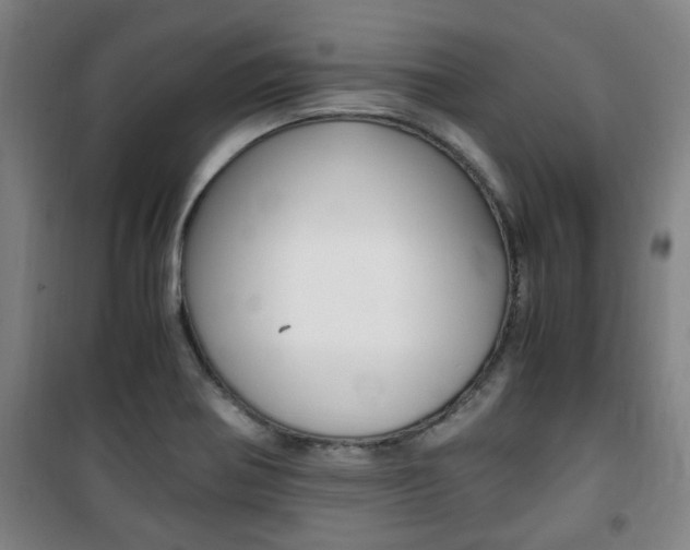 X0000101711370200807101359