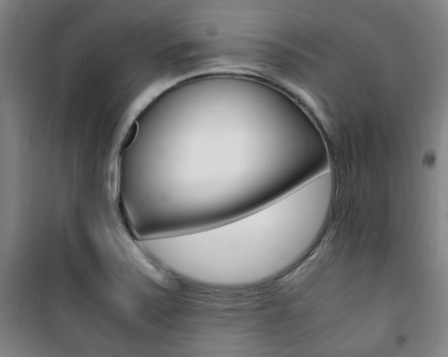 X0000101711371200807101359