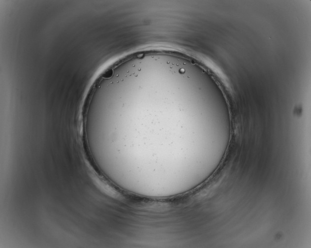 X0000101711372200807101359