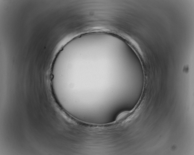 X0000101711373200807101359