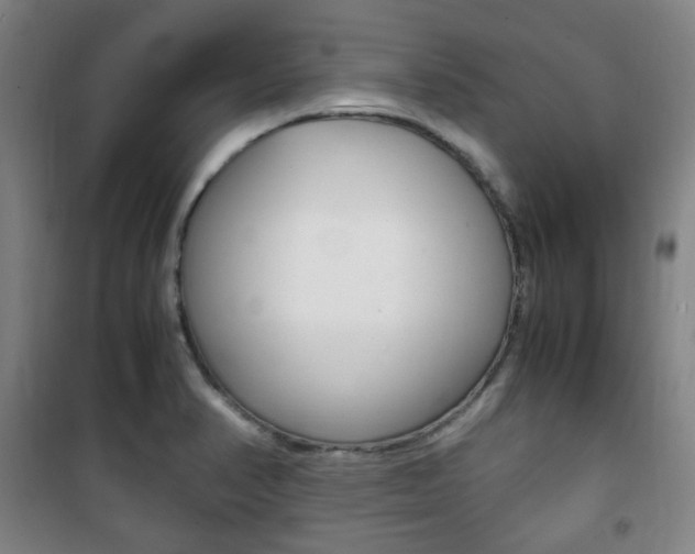 X0000101711374200807101359
