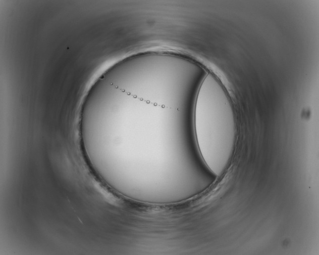 X0000101711375200807101359