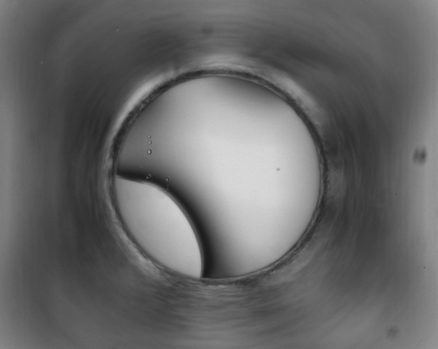 X0000101711376200807101359
