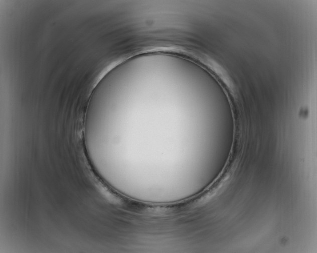 X0000101711377200807101359