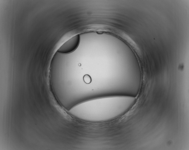X0000101711378200807101359