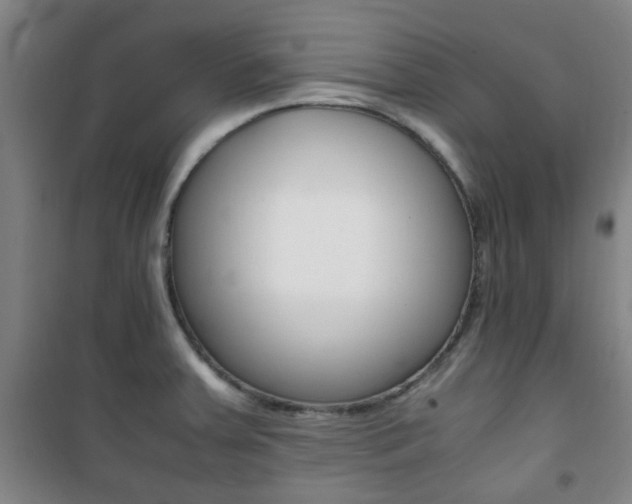 X0000101711379200807101359