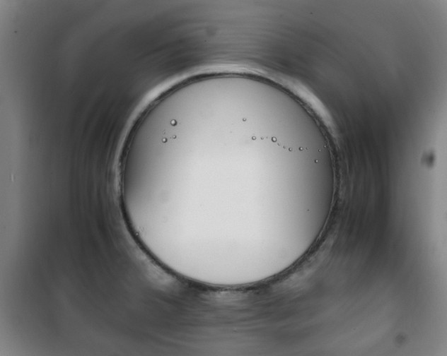 X0000101711380200807101359
