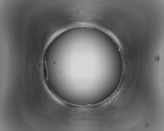 X0000101711381200807101359