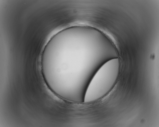 X0000101711382200807101359