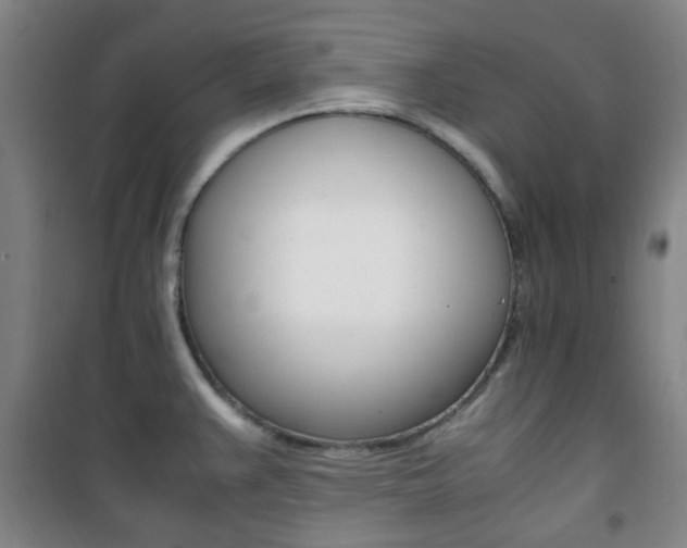 X0000101711383200807101359