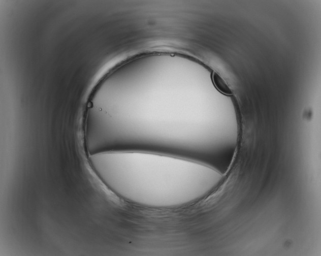 X0000101711384200807101359