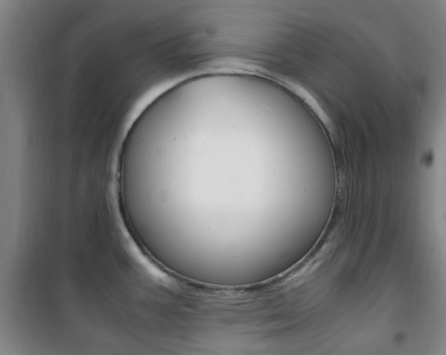 X0000101711387200807101359