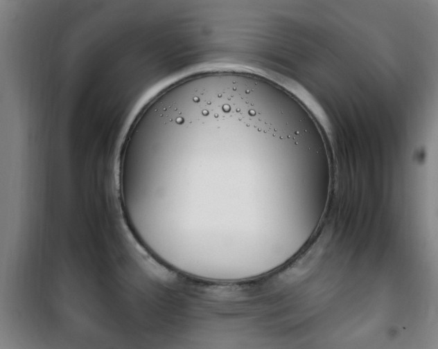 X0000101711388200807101359