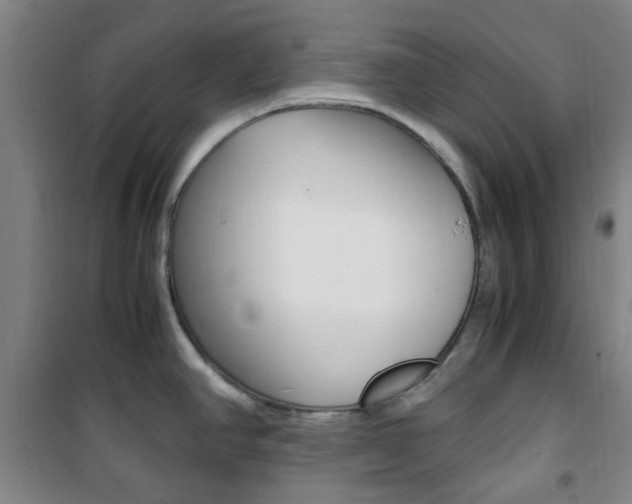 X0000101711390200807101358