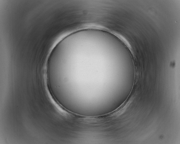 X0000101711391200807101358