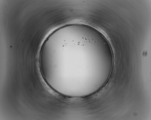 X0000101711392200807101358