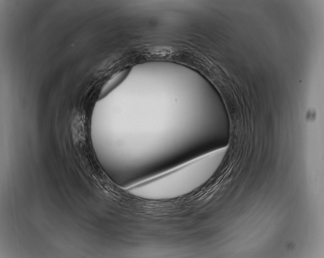 X0000101711394200807101358