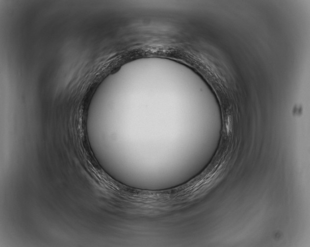 X0000101711396200807101358