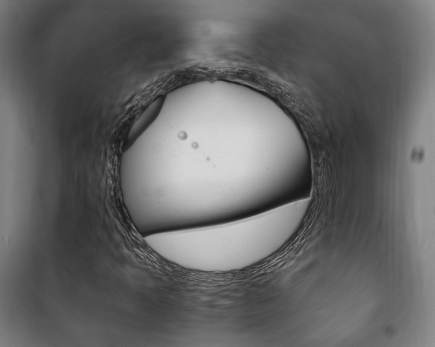 X0000101711397200807101358