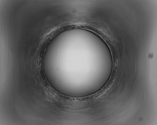 X0000101711398200807101358