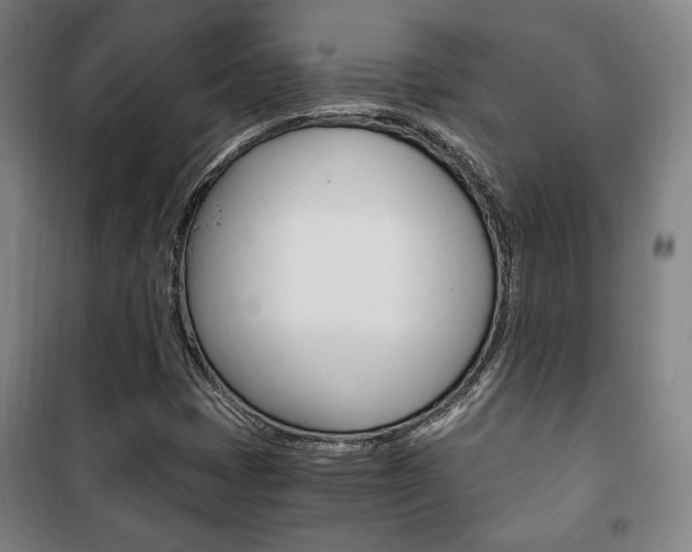 X0000101711401200807101358