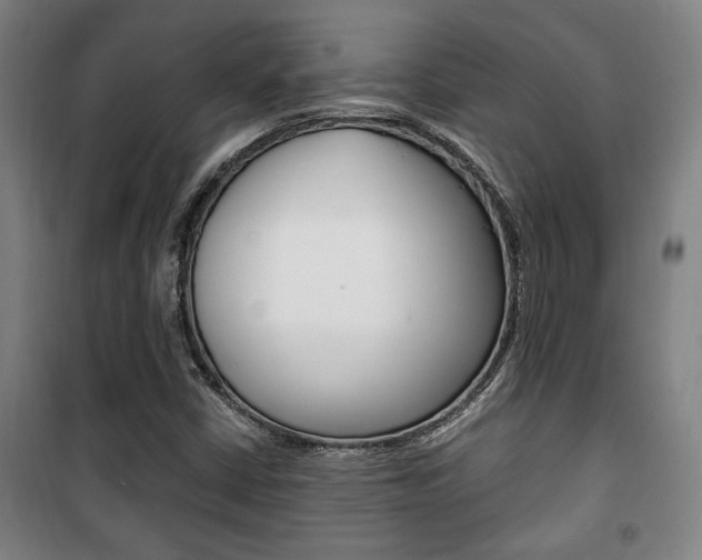 X0000101711402200807101358
