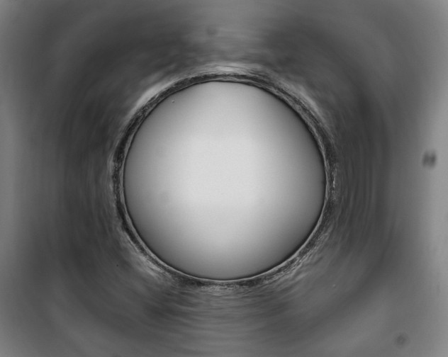 X0000101711404200807101358