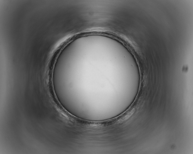 X0000101711406200807101358