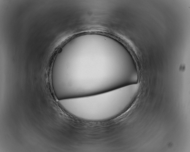 X0000101711407200807101358